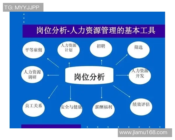 TES在精英赛中的个人能力分析与表现评估